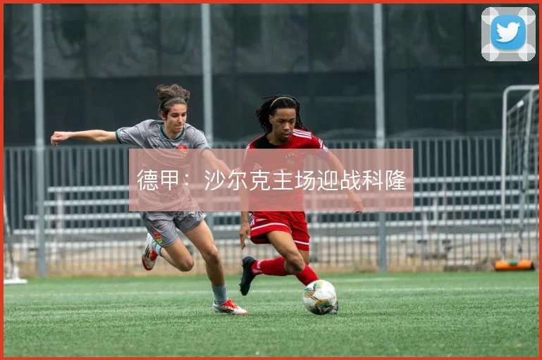 德甲：沙尔克主场迎战科隆