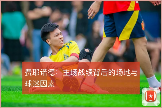 费耶诺德：主场战绩背后的场地与球迷因素
