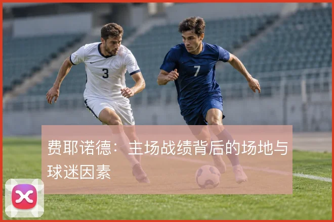 费耶诺德：主场战绩背后的场地与球迷因素